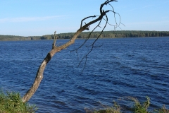 p1080978