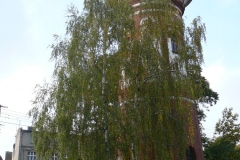 p1090139