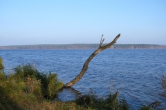 p1100797
