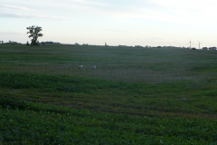 P1120679