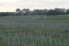 P1120686