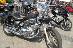 p1150163