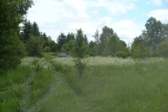 p1150755