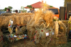 21-08-2011-074