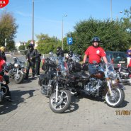 2011-09-11_Bukowiec_-_Sosno