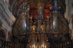 gierloz-135