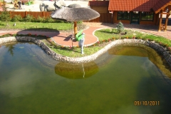 09-10-2011-031