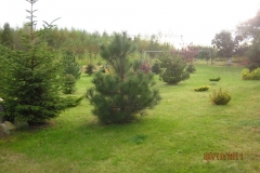 09-10-2011-053