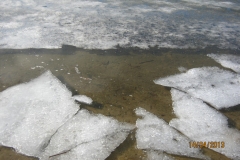 2010-04-14-104