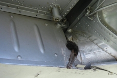 2010-04-21-036