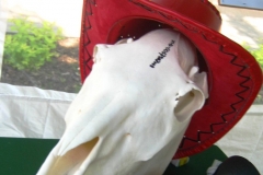 2013-06-07-052