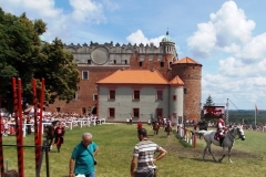 2013-07-07-010