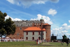 2013-07-07-057