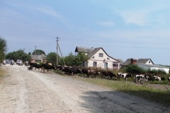 2013-07-11-1_ukraina_1-264