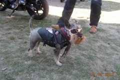 2013-09-07-lutomiersk-042