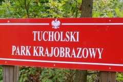 2013-09-22-bory-tucholskie-007