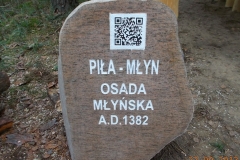 2013-09-22-bory-tucholskie-008