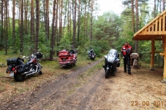 2013-09-22-bory-tucholskie-012