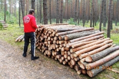 2013-09-22-bory-tucholskie-015