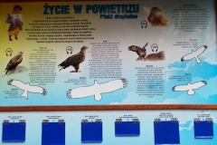 2013-09-22-bory-tucholskie-017