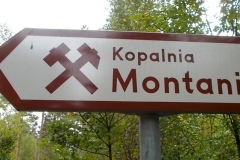 2013-09-22-bory-tucholskie-020