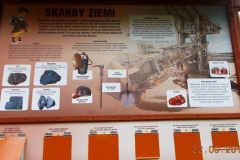 2013-09-22-bory-tucholskie-021