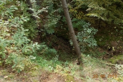 2013-09-22-bory-tucholskie-026
