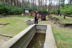 2013-09-22-bory-tucholskie-037