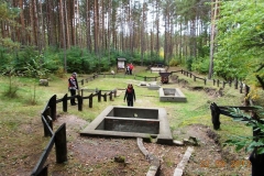 2013-09-22-bory-tucholskie-038