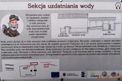 2013-09-22-bory-tucholskie-042