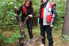 2013-09-22-bory-tucholskie-048