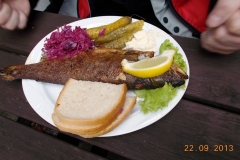 2013-09-22-bory-tucholskie-060