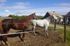p1010039