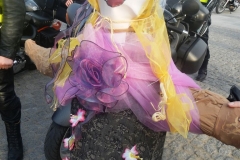 dscn5433