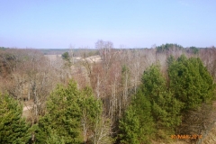 p1030286