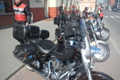 11dscn5563