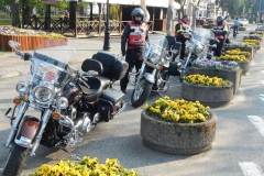 dscn5571