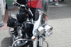 dscn5651