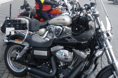 dscn5706