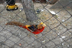 dscn5757