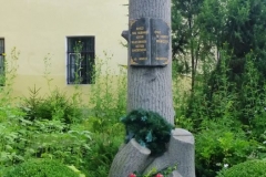 p1050996