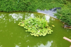 p1070032