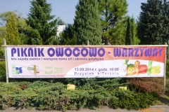p1070641
