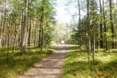 p1090841