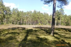 p1090847