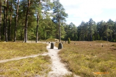 p1090869