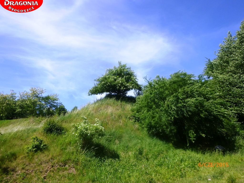 gorzno_xxx_119
