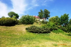 gorzno_xxx_113