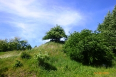 gorzno_xxx_119