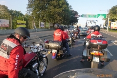 gorzno_xxx_244